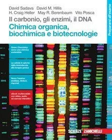 Carbonio gli enzimi il - gli,