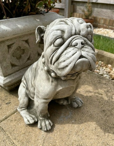Statua pietra bulldog - pietra,