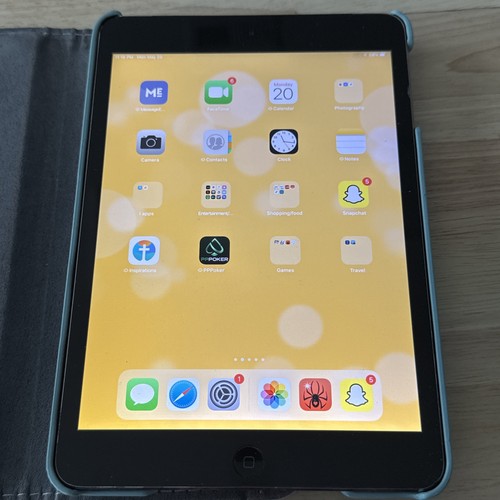 Apple ipad mini fi - wi-fi, 16gb