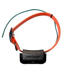 Garmin DC40 GPS Collare di