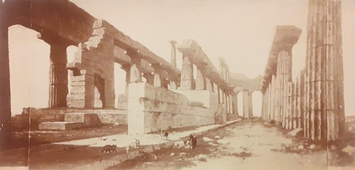 Albumina originale