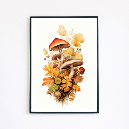 Funghi acquerello pittura - funghi,
