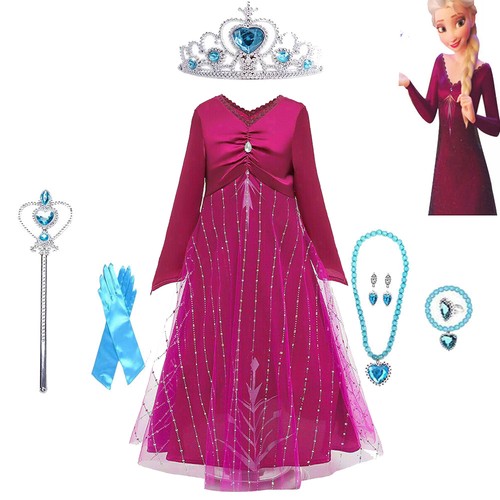 Splendido costume regina elsa - ,