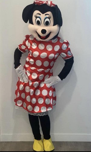 Minnie mouse party - mouse,