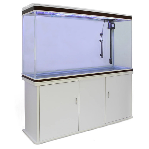 Acquario per pesci acqua - per,