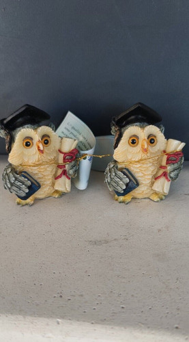 Gufo coppia gufi laurea - coppia,