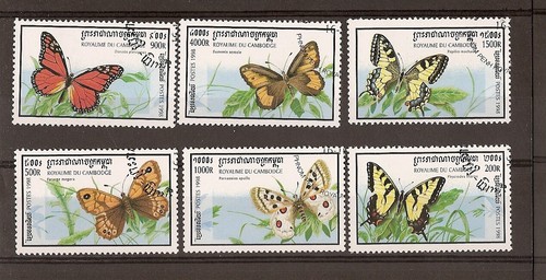 Papillons série complète - papillons,