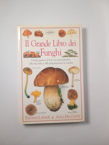 Laessoe del conte il - a.,