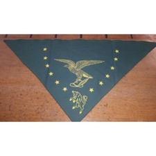  ALPINI Foulard Taurinense