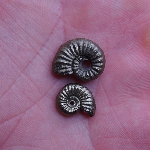 Lotto pezzi 18 mm - 2,