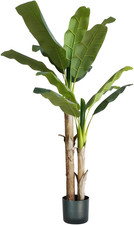 Pianta Di Banano Artificiale