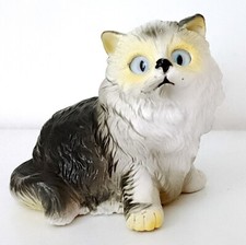 Himalayan Cat gatto Siberiano