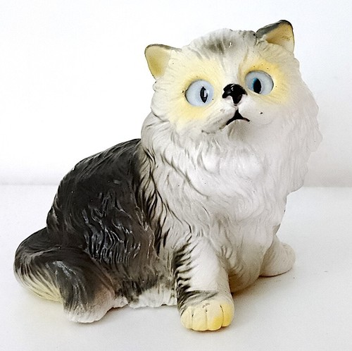 Himalayan cat gatto siberiano - himalayan,