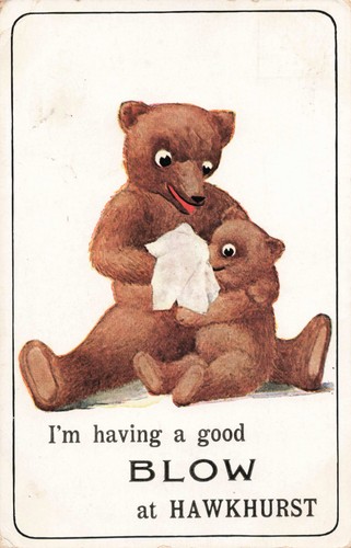 Vintage teddy bear - teddy,