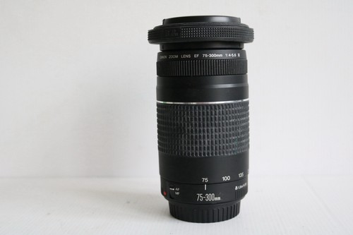 Canon 300 0 5 - 75-300, mm