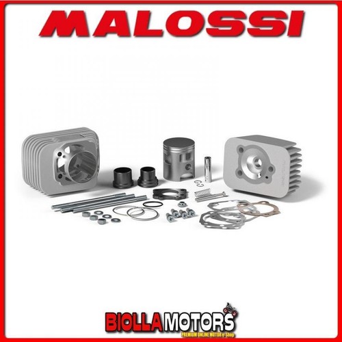 3118581 gruppo termico malossi - termico,
