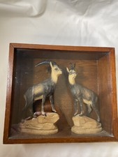 Camoscio vintage XIX secolo