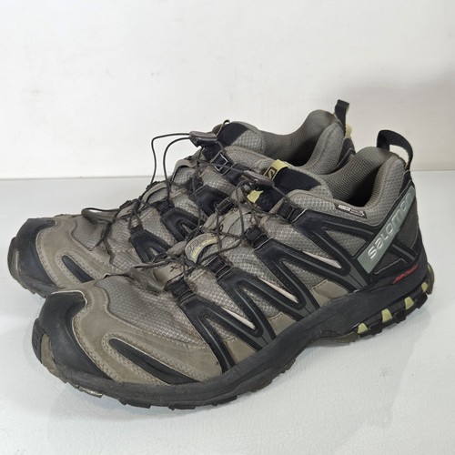 Salomon pro chassis - pro, 3d