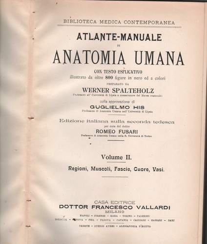 Atlante manuale anatomia - atlante, di