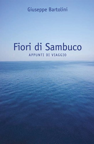 Fiori sambuco di giuseppe - fiori,
