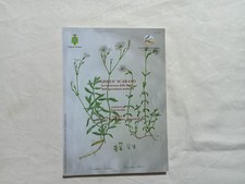 Giosuè Scarano. La conoscenza