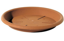 Vasi per piante - piante, sottovaso