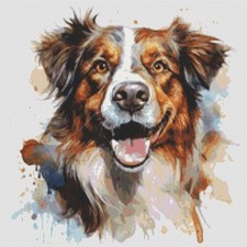 Pastore australiano cucciolo