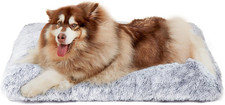 Cuscino per Cani Taglia