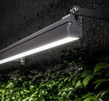 iGuzzini Linealuce LED Warm