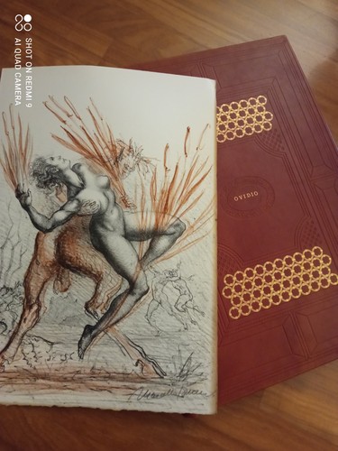 Ovidio metamorfosi 2 - ovidio,