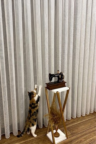 Tenda tulle pet friendly - tenda,