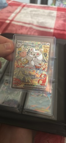 Cinncino sir - ex,
