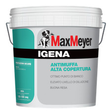 MaxMeyer IGENA Pittura