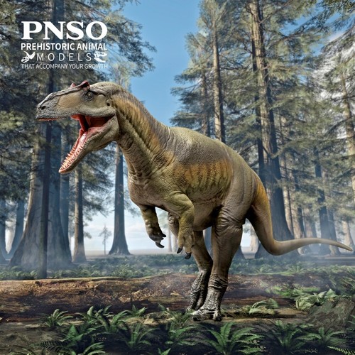 Pnso 2023 donald - pnso,