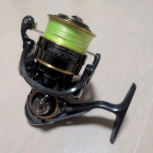 Daiwa theory 3012h mulinello - theory,