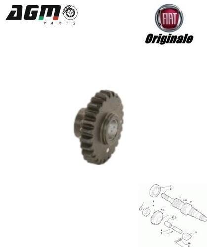 Ingranaggio retromarcia albero - ingranaggio,