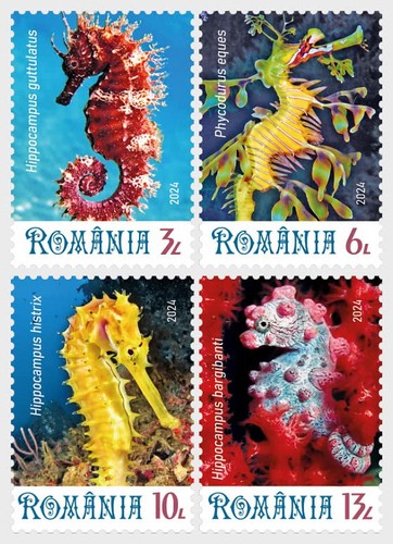 Romania 2024 fauna animali - 2024,