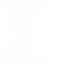 VASCO ROSSI PRATICAMENTE