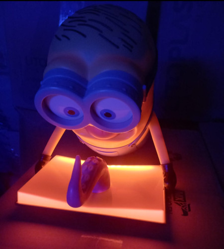 Minions monsters 1 secchio - &,