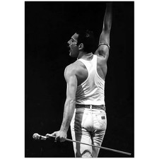 Poster artistico Freddie