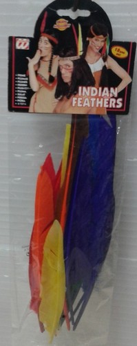 Carnevale set piume indiano - set,