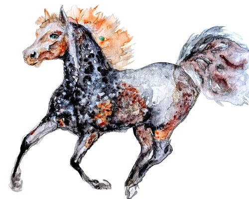 Stallone appanato horse - appanato,,