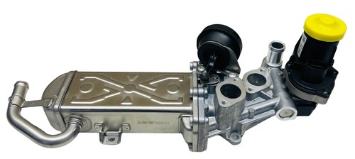 Valvola radiatore egr - radiatore,