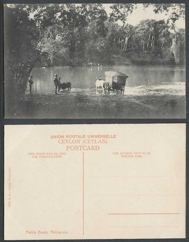 Ceylon old postcard padda - old,