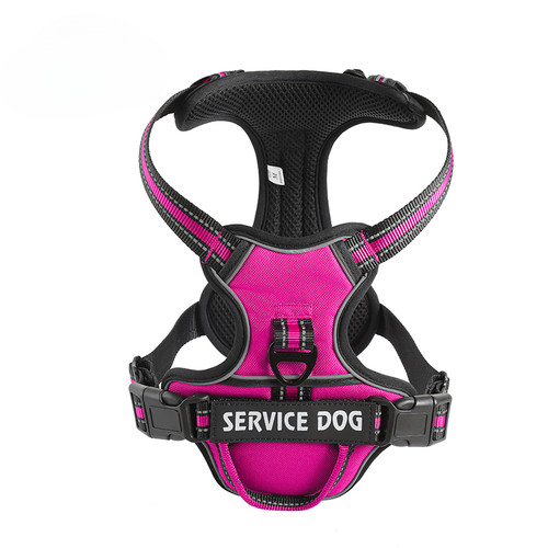 Gilet imbracatura cani nylon - gilet,