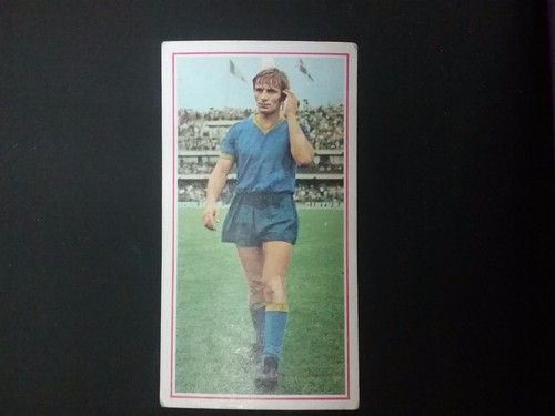 Album panini calciatori - album,