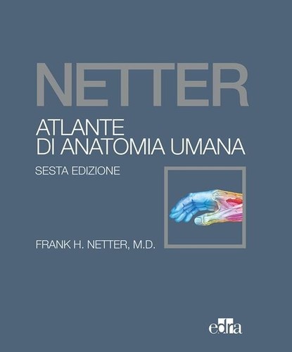 Alante anatomia umana di - umana,