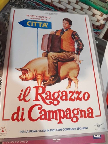 Dvd ragazzo campagna - il,