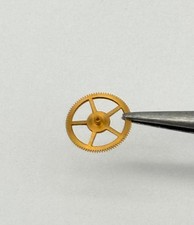 Venere cal. 150 152 175 178