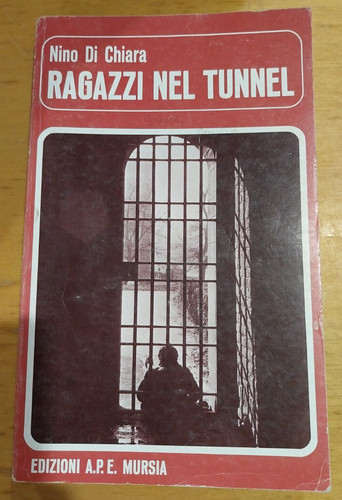 Libro romanzo ragazzi nel - libro,
